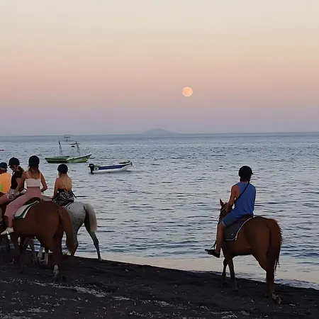 Pleasure Blackbeach 3* Perissa (Santorini)